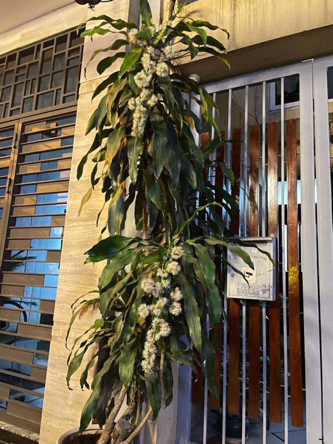 May Residence-800M From Opera House هانوي المظهر الخارجي الصورة